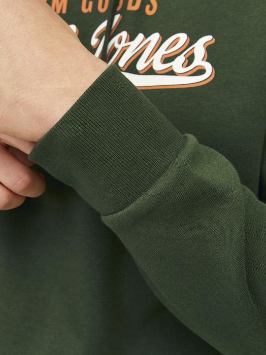 Actual product image Jack & Jones JJELOGO SWEAT HOOD 2 COL 24/25 NOOS (XS)