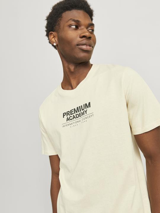 Immagine prodotto Jack & Jones T-shirt stampata con scollo rotondo (L)