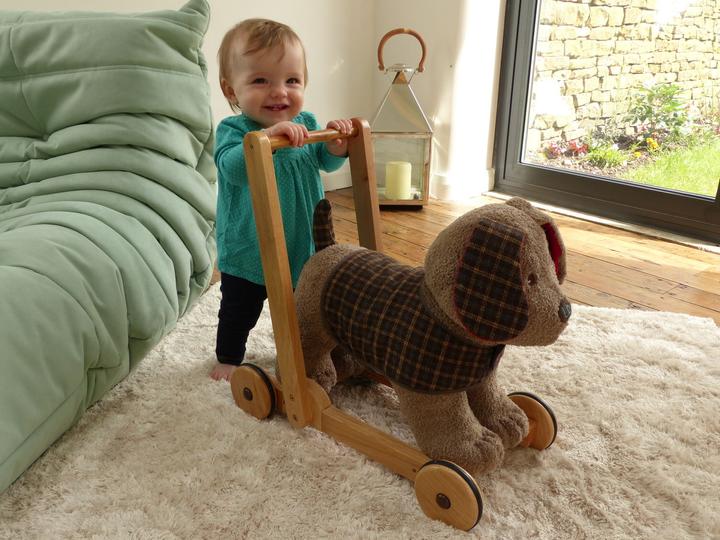 Image du produit little bird told me Percy Pup Push Along