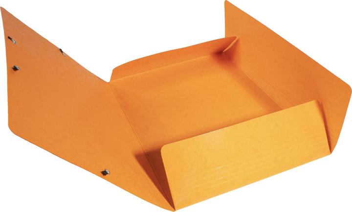 Image du produit Exacompta Dossier de collecte (A4, 625 x)