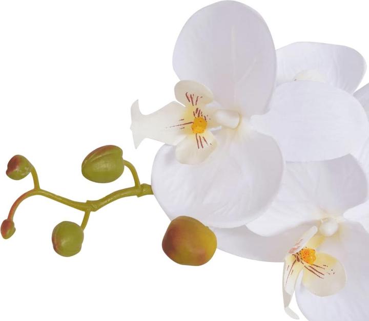 Actual product image VidaXL Orchidee (75 cm)