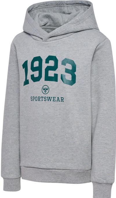 Produktbild hummel hmlNIPPS HOODIE (128)