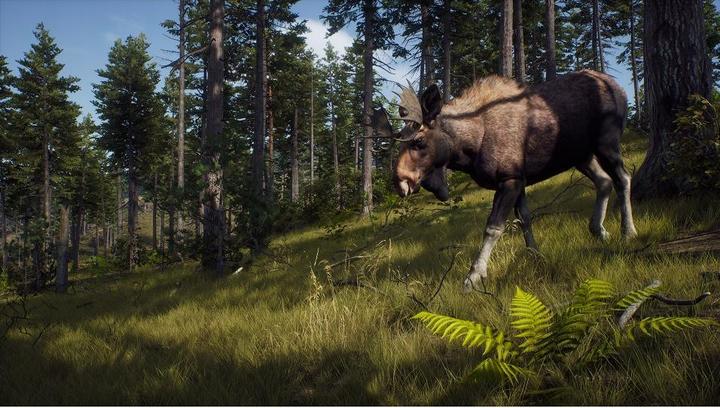 Produktbild THQ Way of the Hunter (PS5, DE)