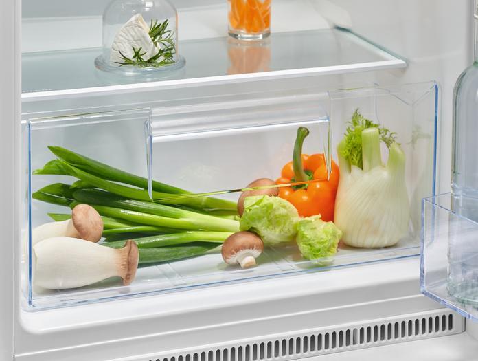 Actual product image Electrolux ColdSense 500 Series KTS5LE14S Refrigerator Double (218 l)