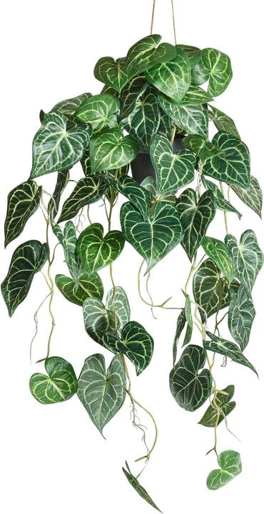Botanic-Haus Anthurium (87 cm)