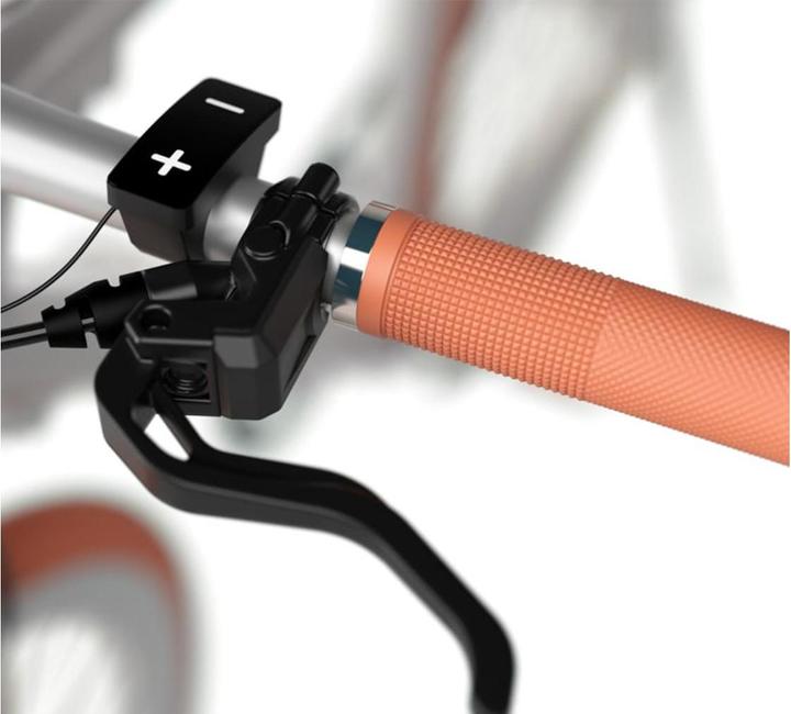 Produktbild Sharp E-Bike RS08E-S Silber, Altersempfehlung ab: 12