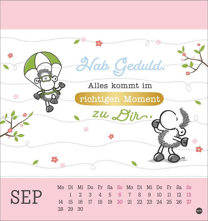 Produktbild sheepworld Postkartenkalender 2026 (Harter Einband, Deutsch)