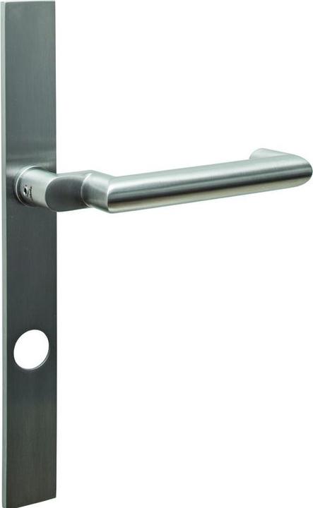 Glutz 52190 HF 50661 RZ 94 li ER A85 (Door handle)