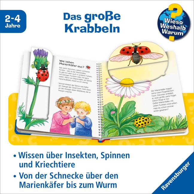 Produktbild Ravensburger Was kriecht und krabbelt da? (Deutsch, Irmgard Eberhard, 2010)