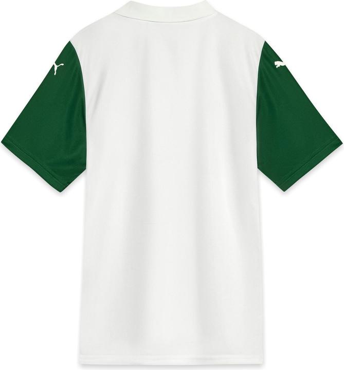 Produktbild Puma Palmeiras Torcedor Away Jersey 25 (L)