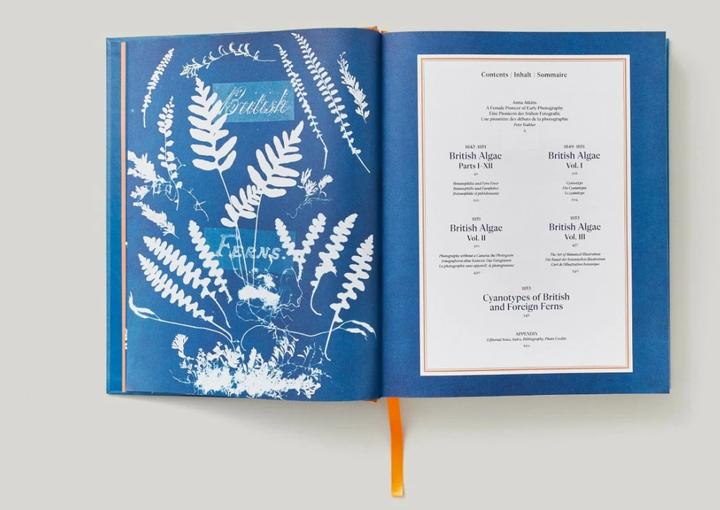 Produktbild Anna Atkins. Cyanotypes (Englisch, Französisch, Deutsch, Walther, Peter, 2023)