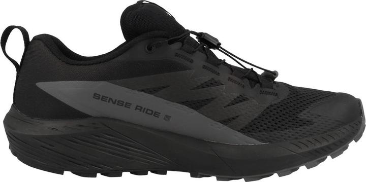 Actual product image Salomon Sense Ride 5 GTX - 59657 (47 1/3)