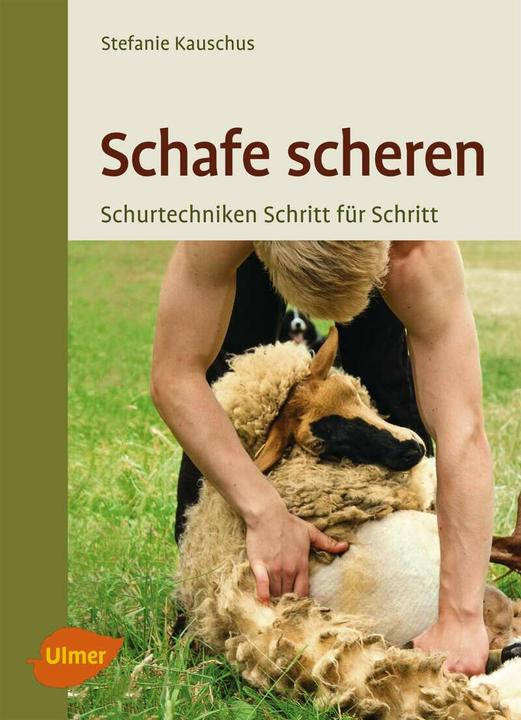 Produktbild Schafe scheren (Deutsch, Stefanie Kauschus, 2015)