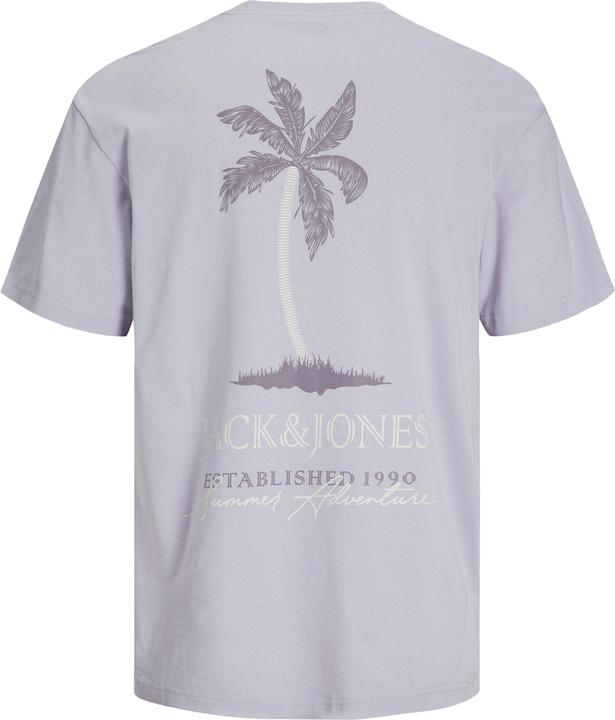 Image du produit Jack & Jones Jjsummer Vibes Tee Ss Crew Neck Ln (M)