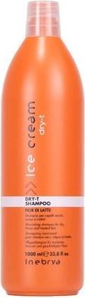Immagine prodotto Inebrya DRY-T: PER CAPELLI SECCHI, CRESPI E TRATTATI 1000 ML (1000 ml)