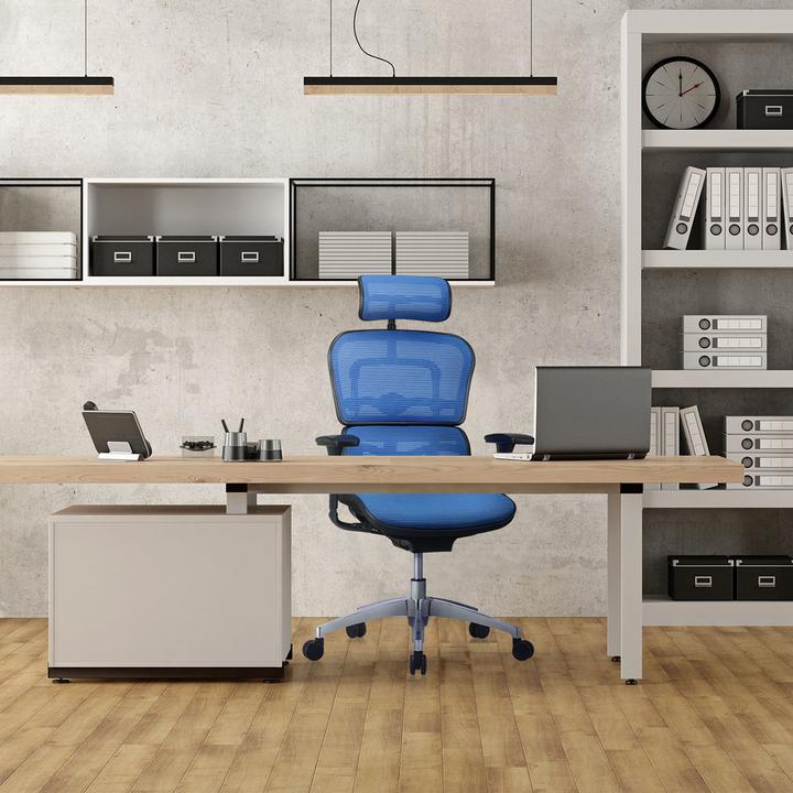 Produktbild Hjh Office Ergohuman Edition