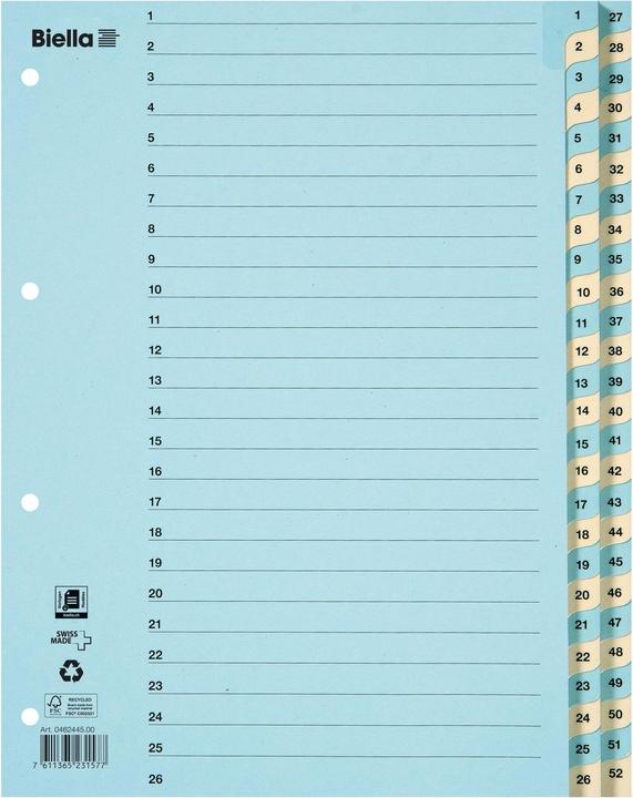 Actual product image Biella Index cardboard A4 1-52, 4holes