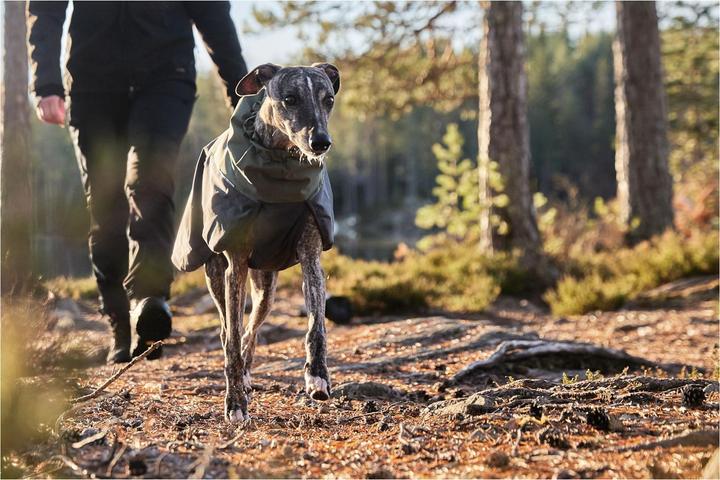 Actual product image Non-Stop Dogwear Winter Coat Wool Jacket Winter Jacket For Dogs S (45, Dog coat)