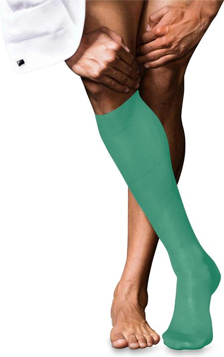 Produktbild Falke No. 9 Pure Fil d'Écosse Herren (39 - 40)