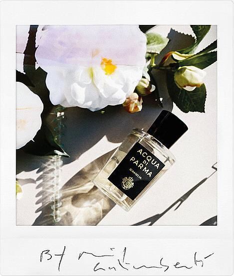 Actual product image Acqua Di Parma Camelia (Eau de parfum, 180 ml)