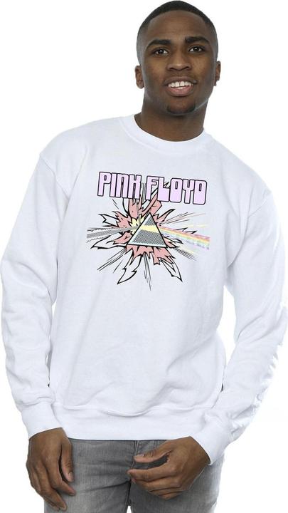 Produktbild Pink Floyd Pastel Triangle Sweatshirt (4XL)