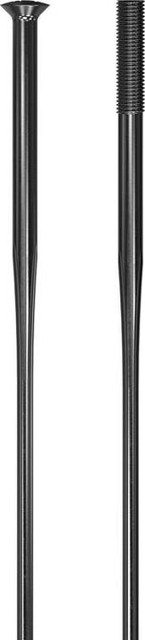 Actual product image DT Swiss Revolite Straightpull (29")