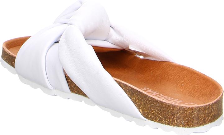 Actual product image Verbenas Rainbow Blanco (38)