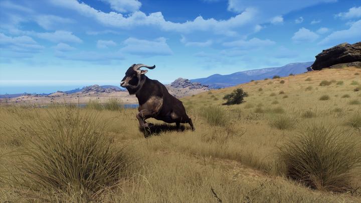 Actual product image THQ Way of the Hunter - Wild Expeditions (Xbox Series X, EN)