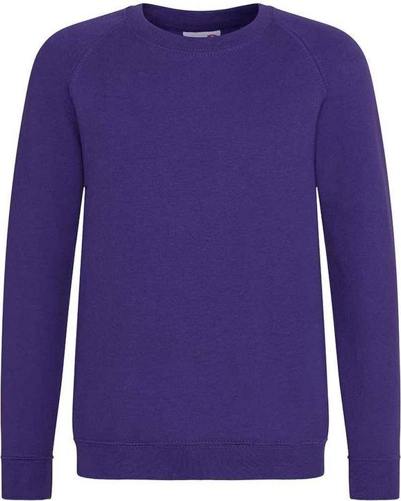 Awdis Academy Sweatshirt Raglanärmel