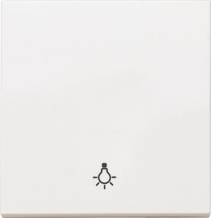 Panasonic WDTR00161WHEU1 Plus 55 Wippe weiss mit Symbol Licht