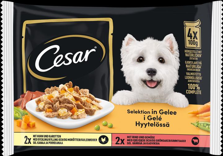 Image du produit Cesar Multipack Portionsbeutel Selektion Huhn & Rind in Gelee (Adulte, 13 pcs, 5695 g)