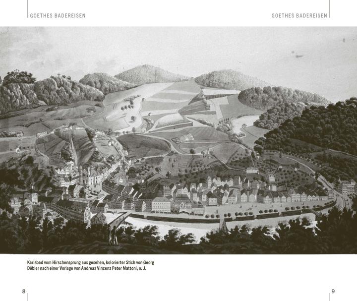 Actual product image With Goethe through the year 2025 (German)