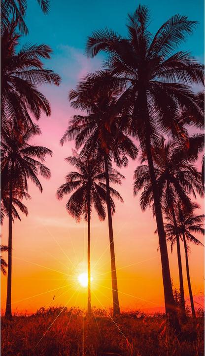 Immagine prodotto Good Morning Bora Bora (100 x 180 cm)