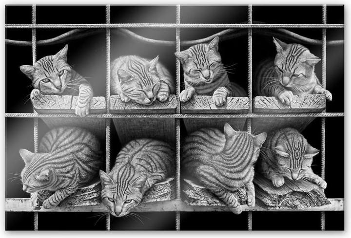 Produktbild Trenddeko Heine - Die Katze (75 x 120 cm)