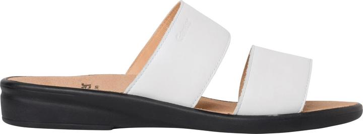 Actual product image Ganter Sonnica (40.5)
