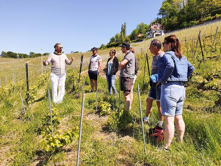 Produktbild Smartbox Romantische Kutschfahrt durch die Weinberge mit Weinverkostung (2 Pers.)