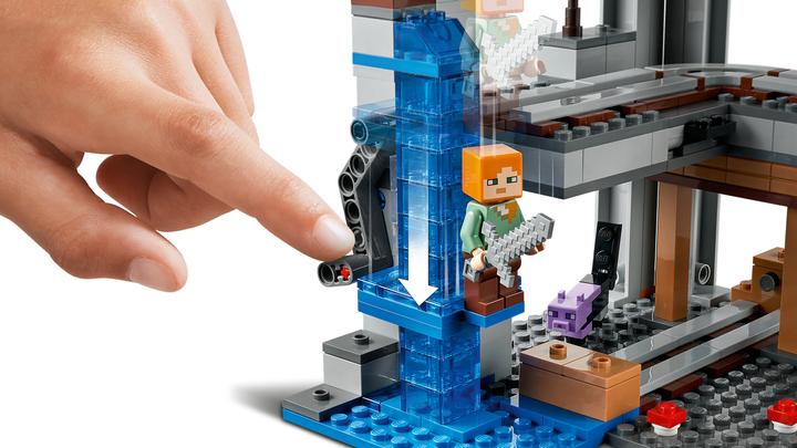 Actual product image LEGO The first adventure (21169, LEGO Minecraft)