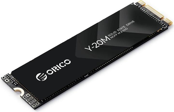 Orico 256GB Y20M M.2 NGFF 2280 R500:W450 (256 Go, M.2 2280)