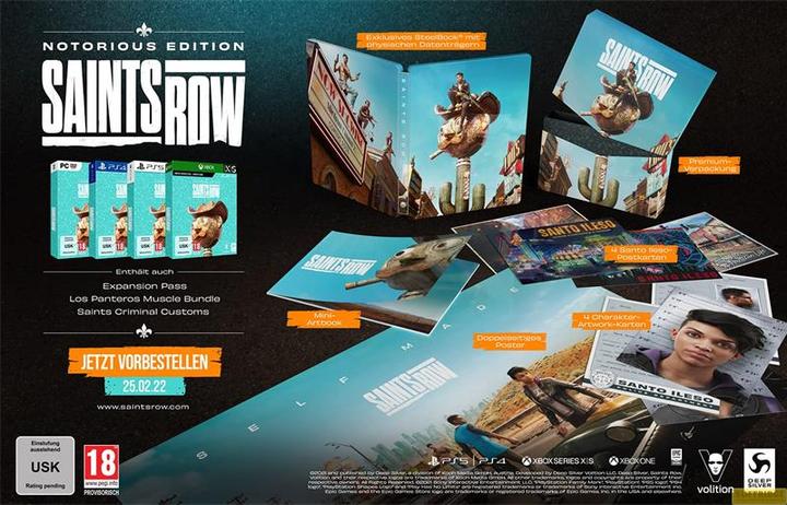 Produktbild Deep Silver Saints Row - Notorious Edition (Windows, DE)