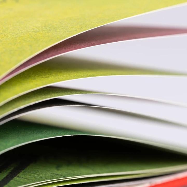 Produktbild Selma - oder was ist Glück? - Premiumausgabe (Deutsch, Jutta Bauer, 2020)