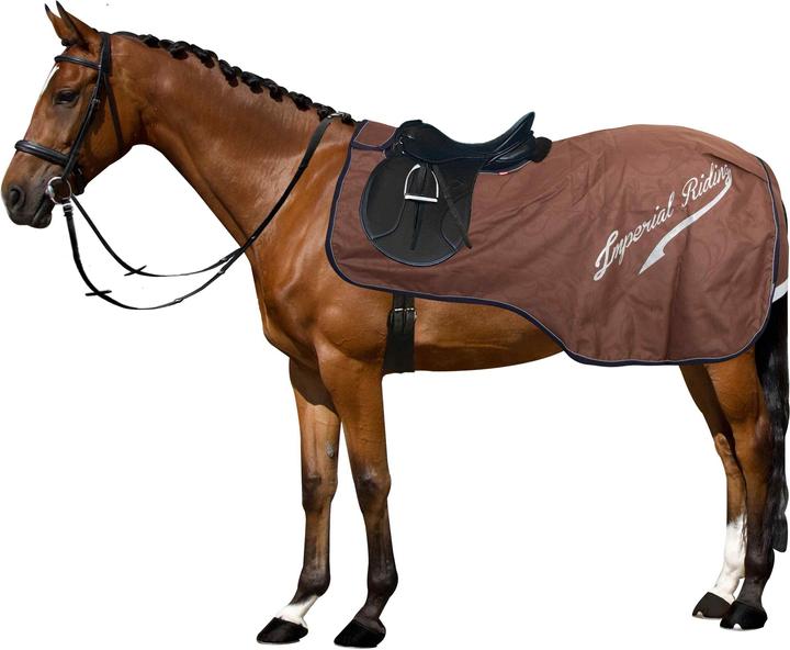 Image du produit Imperial Riding Super-dry 0gr (2 cm)