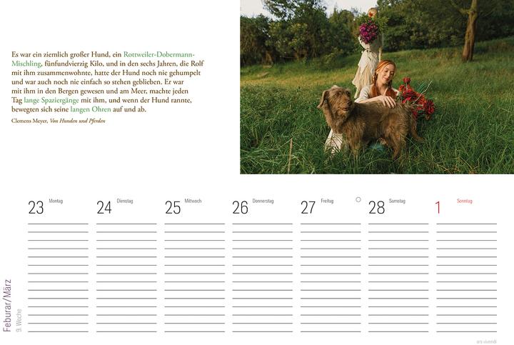 Produktbild Tischkalender Hunde 2026 (Deutsch)