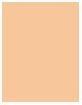 Actual product image L'Oréal Paris Infaillible 24H Fresh Wear (40 Cashmere)