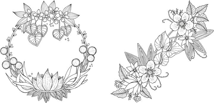 Produktbild Tropical Flowers – Exotische Blumen- und Pflanzen-Motive ausmalen