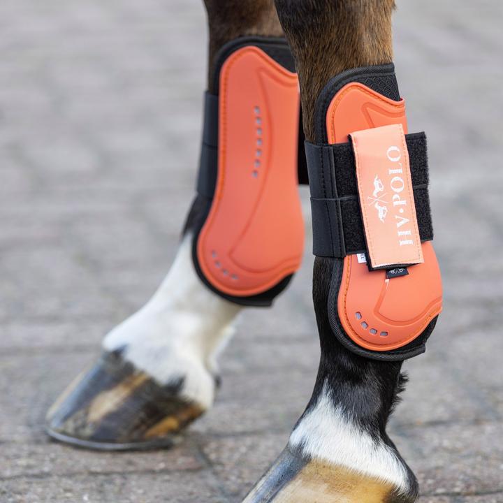Image du produit HV Polo protège-boulets et tendons pour cheval classic