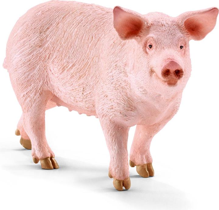 Produktbild Schleich Schwein stehend