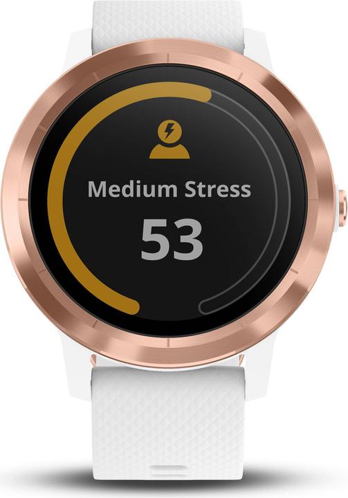 Actual product image Garmin Vivoactive 3 (43 mm)