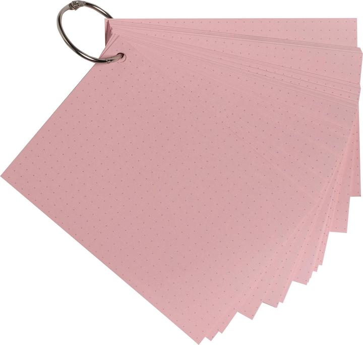Image du produit Exacompta Fiches Bristol (148 x 105 mm, 205 g/m², 50 x)
