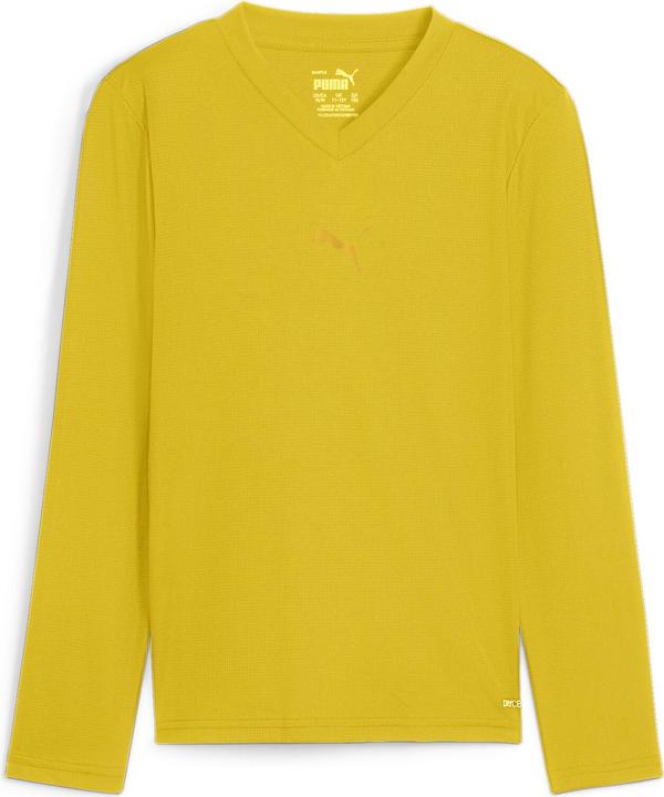 Actual product image Puma teamGOAL Baselayer Tee LS Jr. (176)