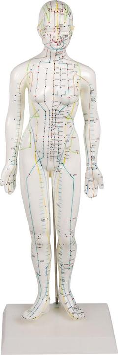 Immagine prodotto Erler Zimmer Figura di agopuntura cinese, donna